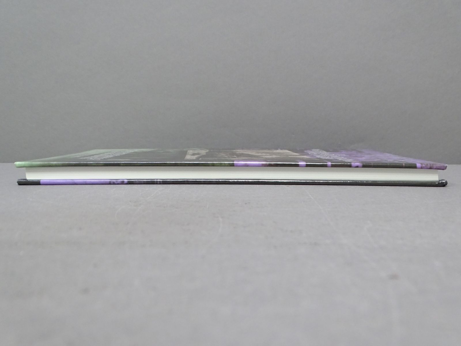 Railroad Book - The Western Maryland Railway in West Virginia: The ...