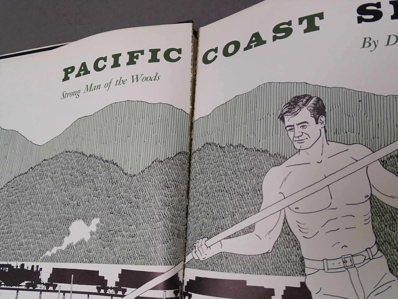 Railroad Book - Pacific Coast Shay: Strong Man of the Woods - Dan ...