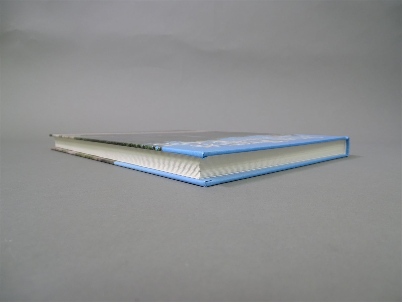 Railroad Book Steam Whistles In The Piney Woods Vol. 1 Gilbert H